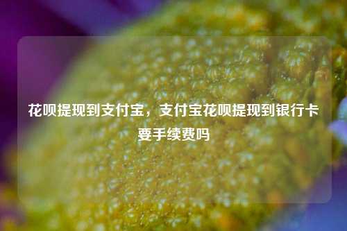 花呗提现到支付宝，支付宝花呗提现到银行卡要手续费吗