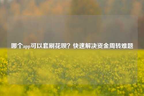 哪个app可以套刷花呗？快速解决资金周转难题