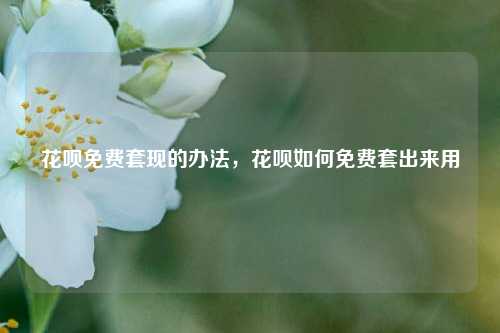 花呗免费套现的办法，花呗如何免费套出来用