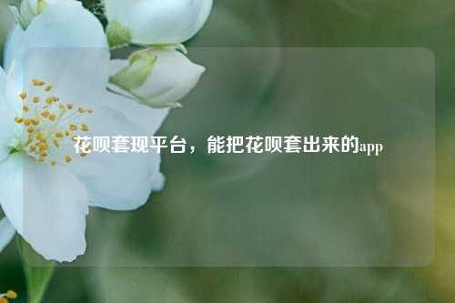 花呗套现平台，能把花呗套出来的app