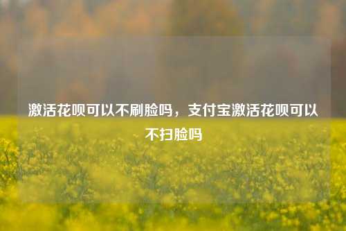 激活花呗可以不刷脸吗，支付宝激活花呗可以不扫脸吗