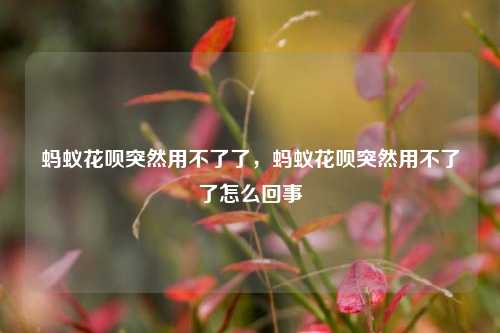蚂蚁花呗突然用不了了，蚂蚁花呗突然用不了了怎么回事