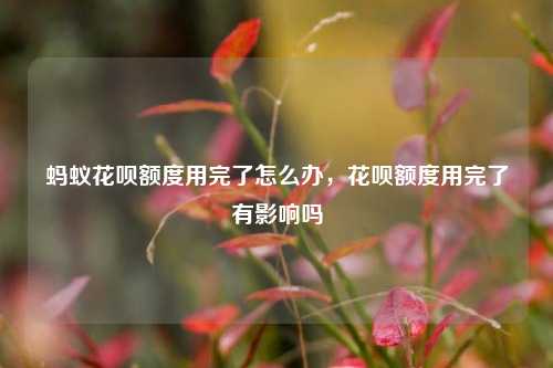 蚂蚁花呗额度用完了怎么办，花呗额度用完了有影响吗