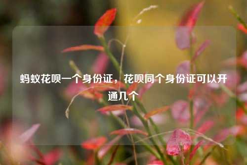 蚂蚁花呗一个身份证，花呗同个身份证可以开通几个
