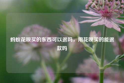 蚂蚁花呗买的东西可以退吗，用花呗买的能退款吗
