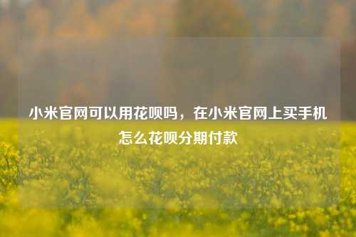 小米官网可以用花呗吗，在小米官网上买手机怎么花呗分期付款