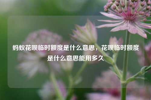 蚂蚁花呗临时额度是什么意思，花呗临时额度是什么意思能用多久