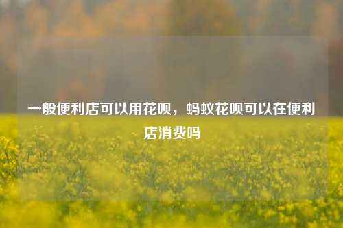 一般便利店可以用花呗，蚂蚁花呗可以在便利店消费吗