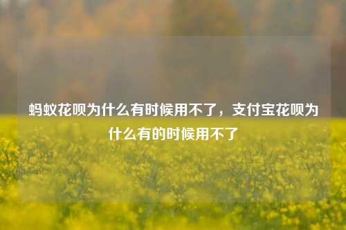蚂蚁花呗为什么有时候用不了，支付宝花呗为什么有的时候用不了