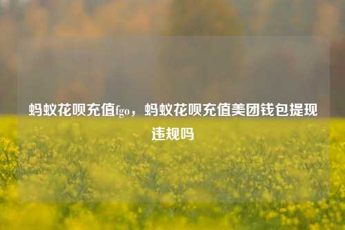 蚂蚁花呗充值fgo，蚂蚁花呗充值美团钱包提现违规吗