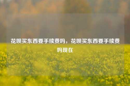 花呗买东西要手续费吗，花呗买东西要手续费吗现在