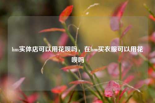 hm实体店可以用花呗吗，在hm买衣服可以用花呗吗