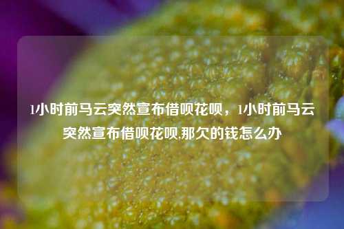 1小时前马云突然宣布借呗花呗，1小时前马云突然宣布借呗花呗,那欠的钱怎么办