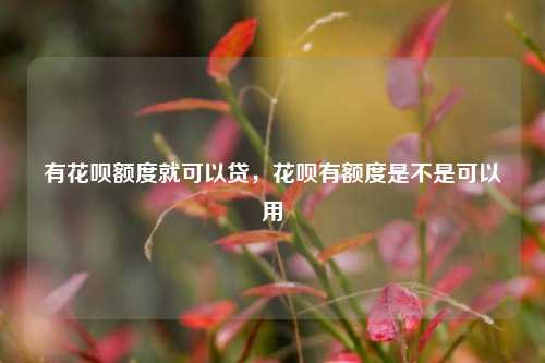 有花呗额度就可以贷，花呗有额度是不是可以用