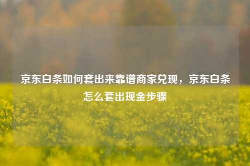 京东白条如何套出来靠谱商家兑现，京东白条怎么套出现金步骤
