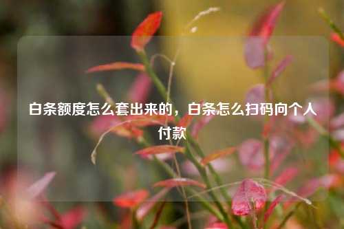 白条额度怎么套出来的，白条怎么扫码向个人付款