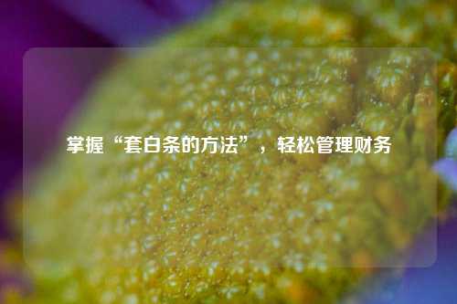 掌握“套白条的方法”，轻松管理财务