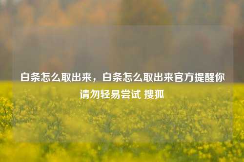 白条怎么取出来，白条怎么取出来官方提醒你请勿轻易尝试 搜狐