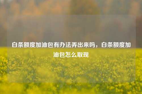 白条额度加油包有办法弄出来吗，白条额度加油包怎么取现