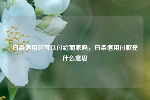 白条信用购可以付给商家吗，白条信用付款是什么意思
