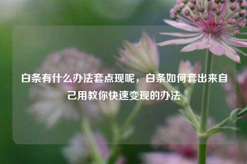 白条有什么办法套点现呢，白条如何套出来自己用教你快速变现的办法