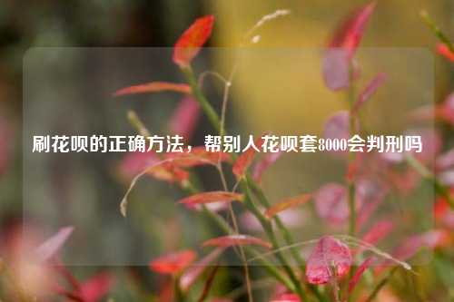 刷花呗的正确方法，帮别人花呗套8000会判刑吗