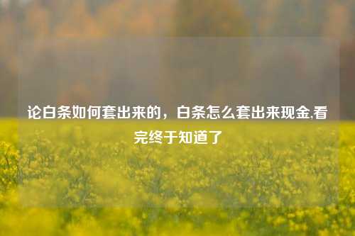 论白条如何套出来的，白条怎么套出来现金,看完终于知道了