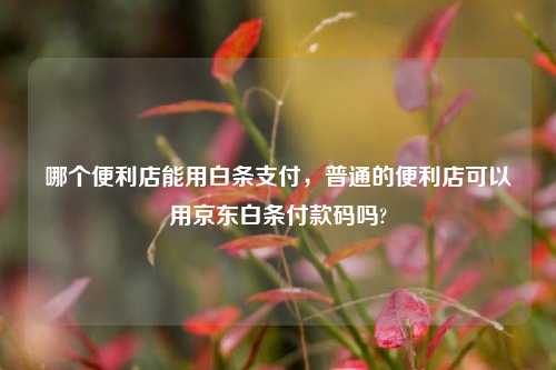 哪个便利店能用白条支付，普通的便利店可以用京东白条付款码吗?