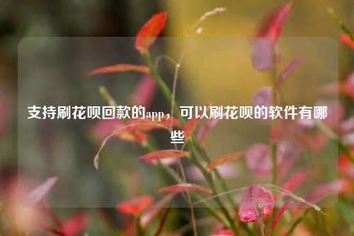 支持刷花呗回款的app，可以刷花呗的软件有哪些
