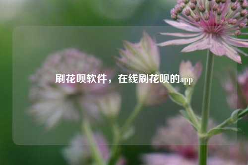 刷花呗软件，在线刷花呗的app