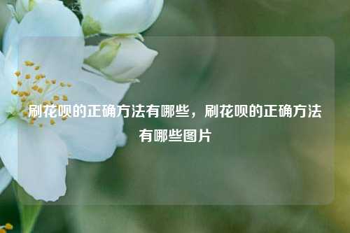 刷花呗的正确方法有哪些，刷花呗的正确方法有哪些图片