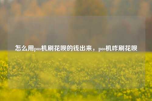 怎么用pos机刷花呗的钱出来，pos机咋刷花呗