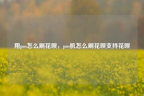 用pos怎么刷花呗，pos机怎么刷花呗支持花呗