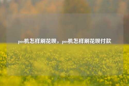 pos机怎样刷花呗，pos机怎样刷花呗付款