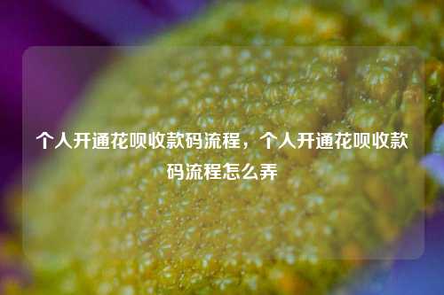 个人开通花呗收款码流程，个人开通花呗收款码流程怎么弄
