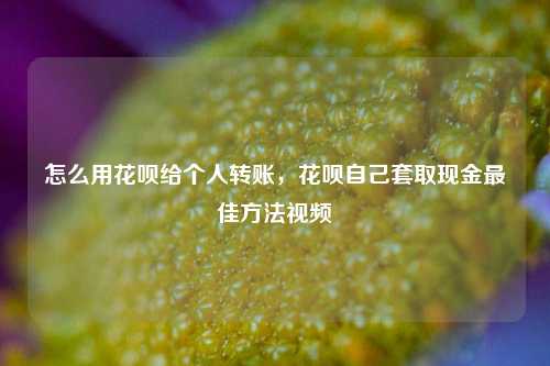 怎么用花呗给个人转账，花呗自己套取现金最佳方法视频