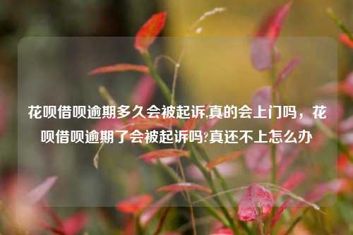 花呗借呗逾期多久会被起诉,真的会上门吗，花呗借呗逾期了会被起诉吗?真还不上怎么办