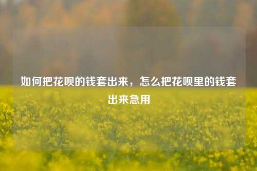如何把花呗的钱套出来，怎么把花呗里的钱套出来急用