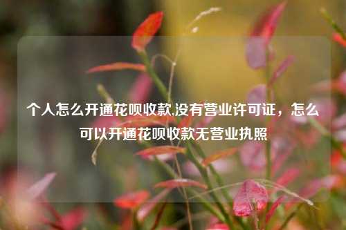 个人怎么开通花呗收款,没有营业许可证，怎么可以开通花呗收款无营业执照
