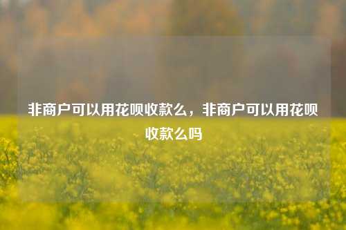 非商户可以用花呗收款么，非商户可以用花呗收款么吗