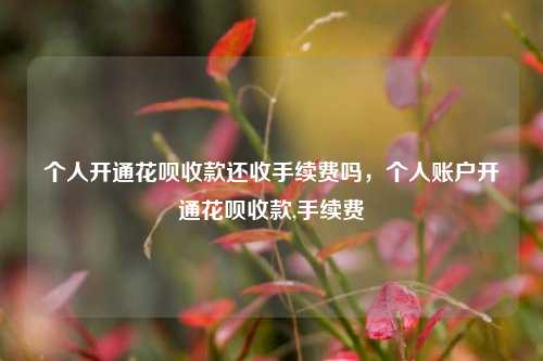 个人开通花呗收款还收手续费吗，个人账户开通花呗收款,手续费