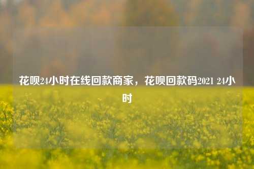 花呗24小时在线回款商家，花呗回款码2021 24小时