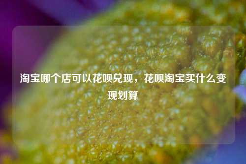 淘宝哪个店可以花呗兑现，花呗淘宝买什么变现划算