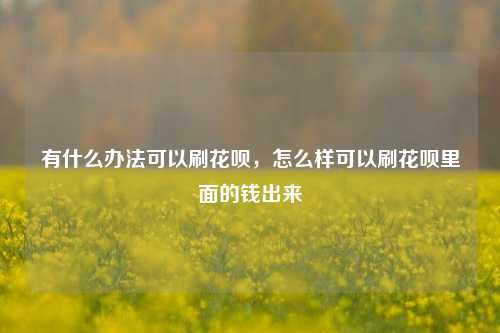 有什么办法可以刷花呗，怎么样可以刷花呗里面的钱出来