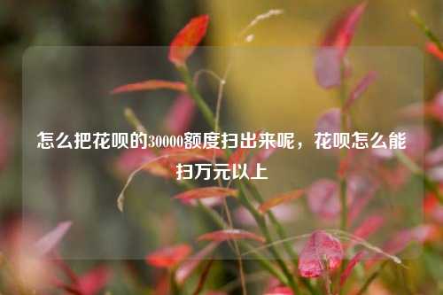 怎么把花呗的30000额度扫出来呢，花呗怎么能扫万元以上