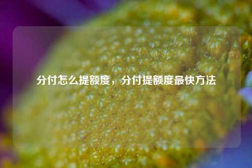 分付怎么提额度，分付提额度最快方法
