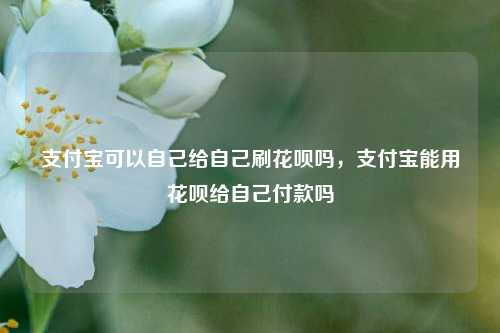 支付宝可以自己给自己刷花呗吗，支付宝能用花呗给自己付款吗