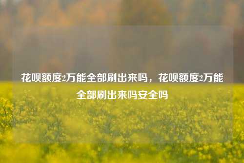 花呗额度2万能全部刷出来吗，花呗额度2万能全部刷出来吗安全吗