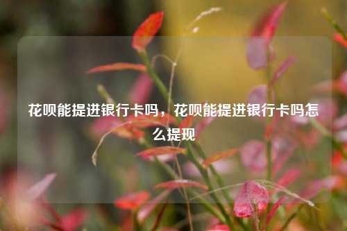 花呗能提进银行卡吗，花呗能提进银行卡吗怎么提现