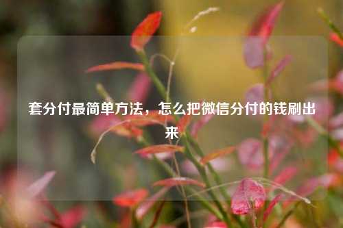 套分付最简单方法，怎么把微信分付的钱刷出来